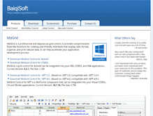 Tablet Screenshot of mysofttool.com
